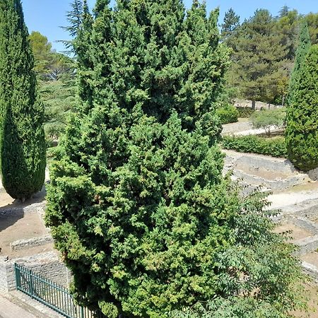 Grande Terrasse Et Vue Sur Le Site Antique Daire Vaison-la-Romaine Dış mekan fotoğraf