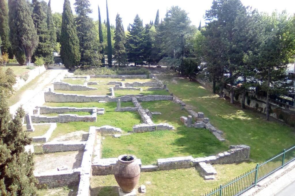 Grande Terrasse Et Vue Sur Le Site Antique Daire Vaison-la-Romaine Dış mekan fotoğraf